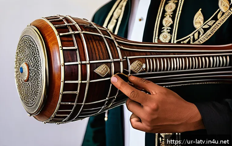 라트비아 전통 악기 - A traditional Gudrees musical instrument made from polished wood and metal, showcasing its deep and ...